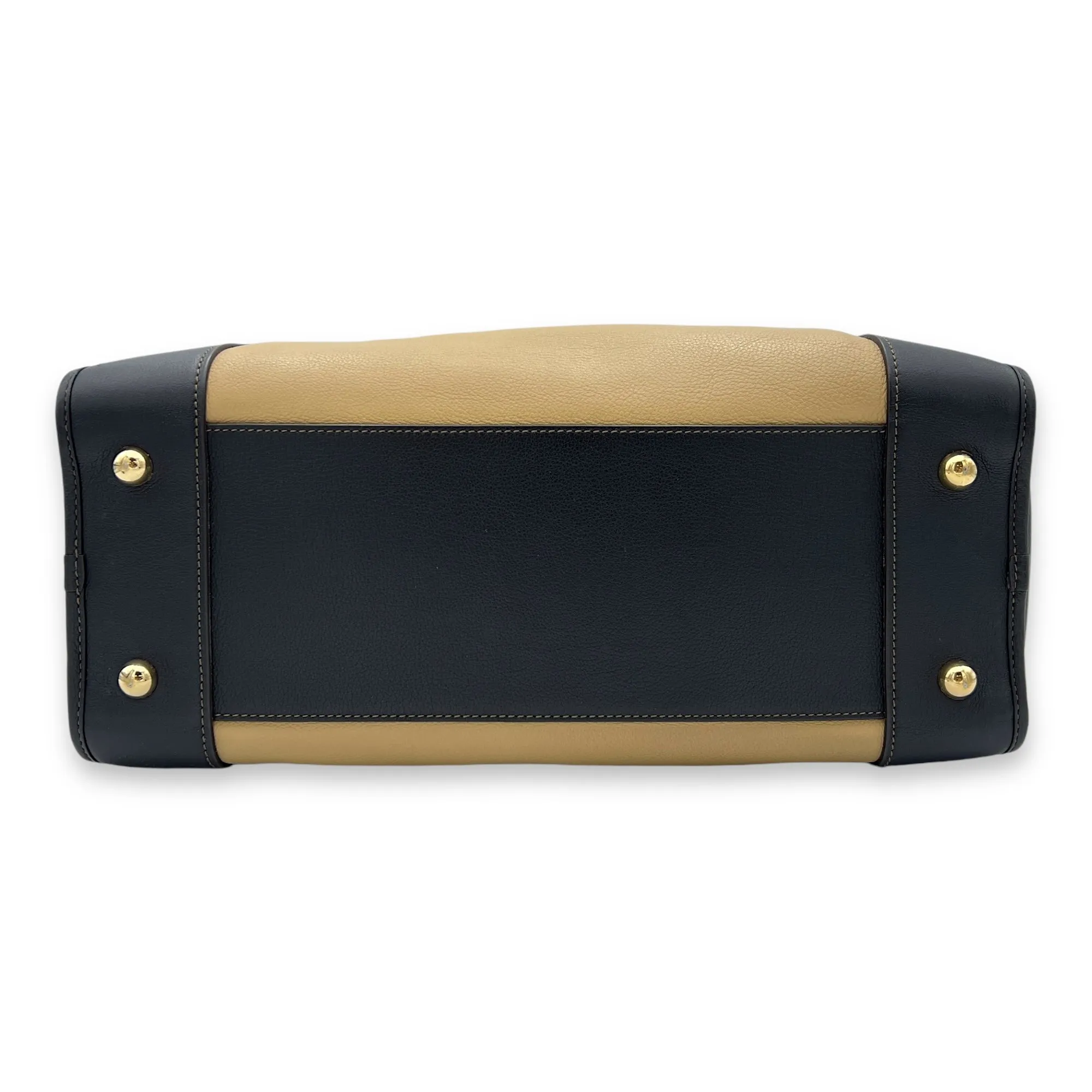 Amazona Top Handle Bag 36 Beige in Calfskin, Gold hardware