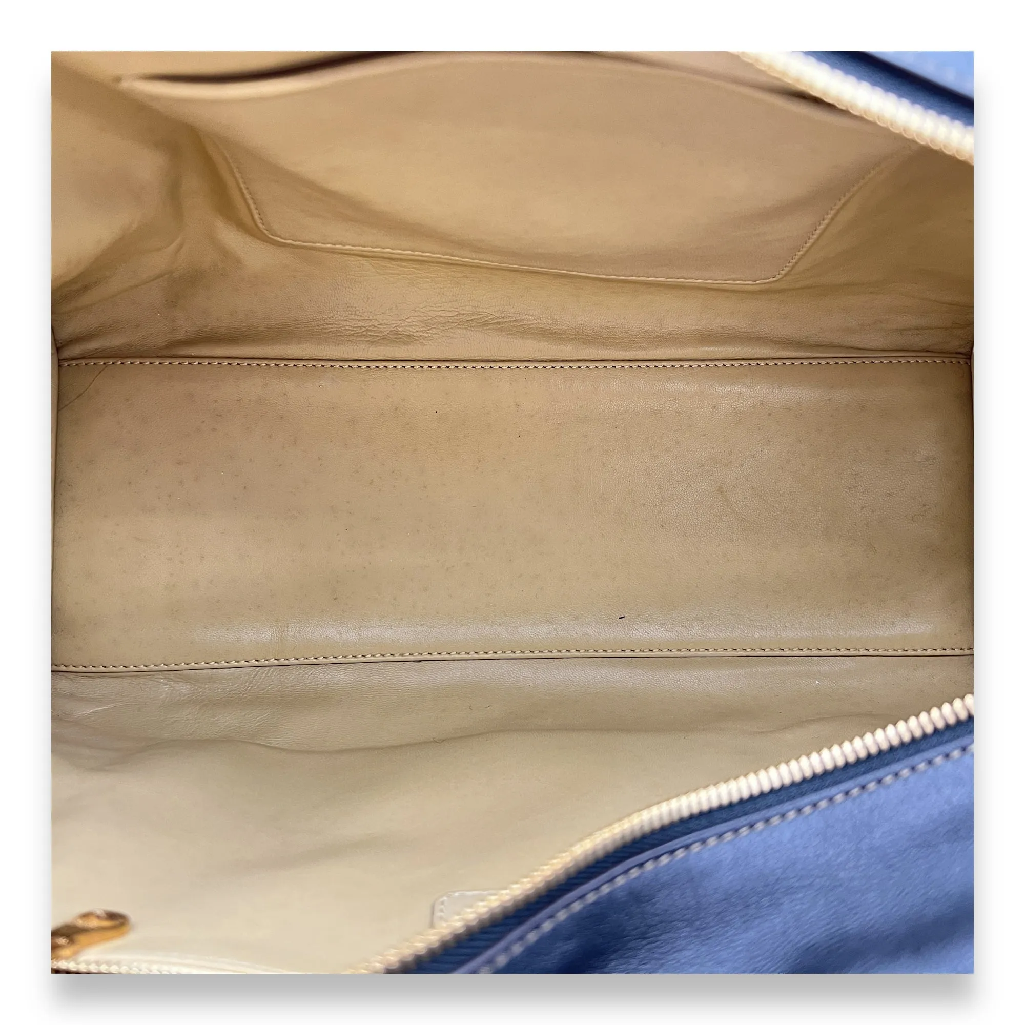 Amazona Top Handle Bag 36 Beige in Calfskin, Gold hardware