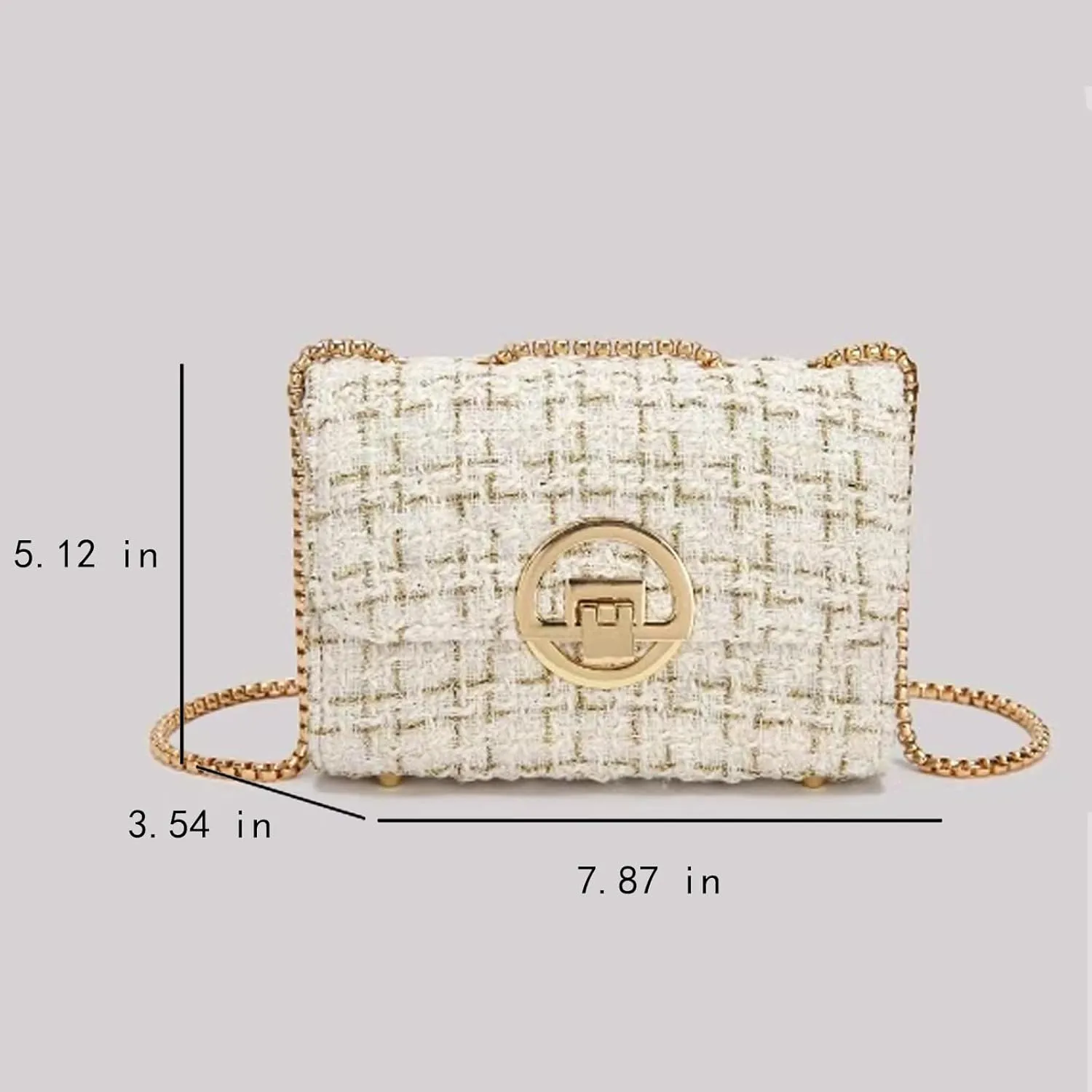 Small Shoulder Bag for Women Trendy Ladies Crossbody Bag with Chain Designer Purses Handbag Clutch Evening Bags